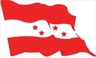 jiuyou